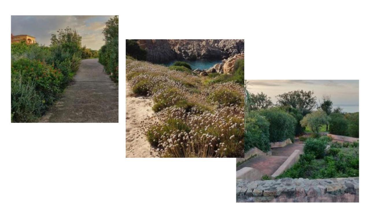 Vacanze In Natura Incontaminata "Casa Vacanza Francesca" Isola Rossa Buitenkant foto