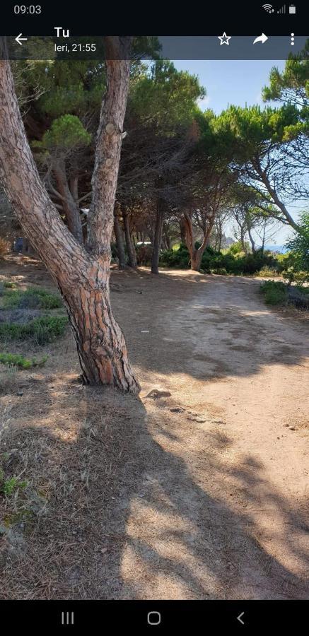 Vacanze In Natura Incontaminata "Casa Vacanza Francesca" Isola Rossa Buitenkant foto